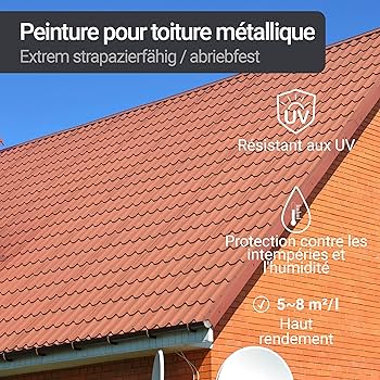 Peinture Toiture Fontainebleau - Après